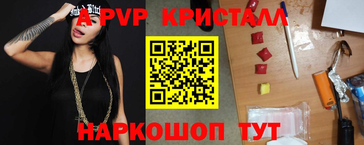 Alfa_PVP СК КРИС Геленджик