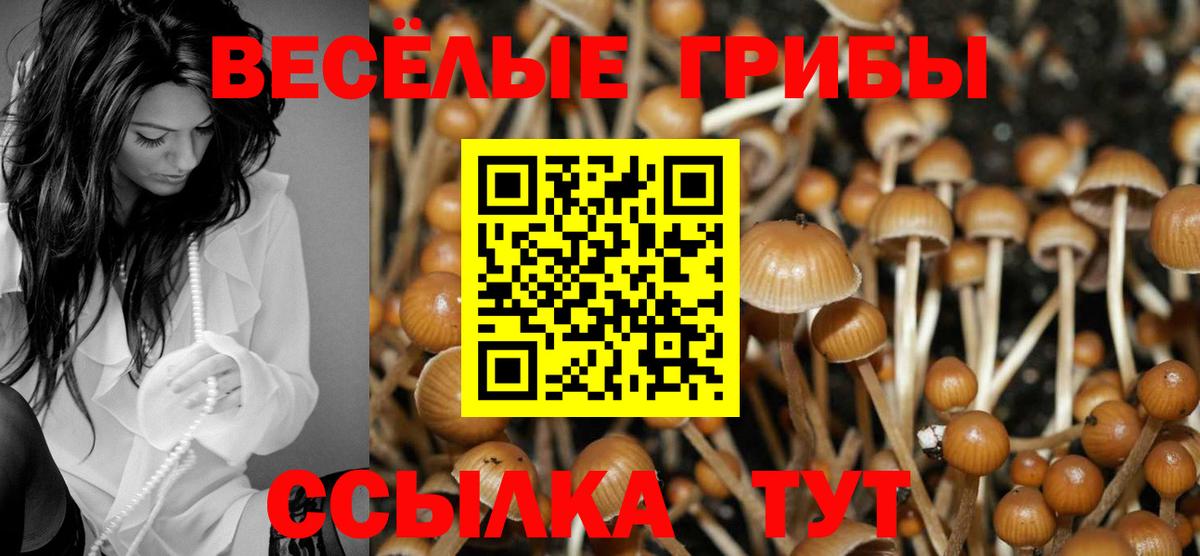Галлюциногенные грибы Magic Shrooms  Вход с VPN  Геленджик 